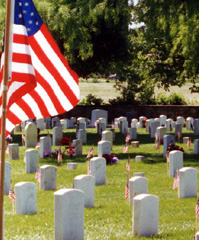 Cemetery with flags 